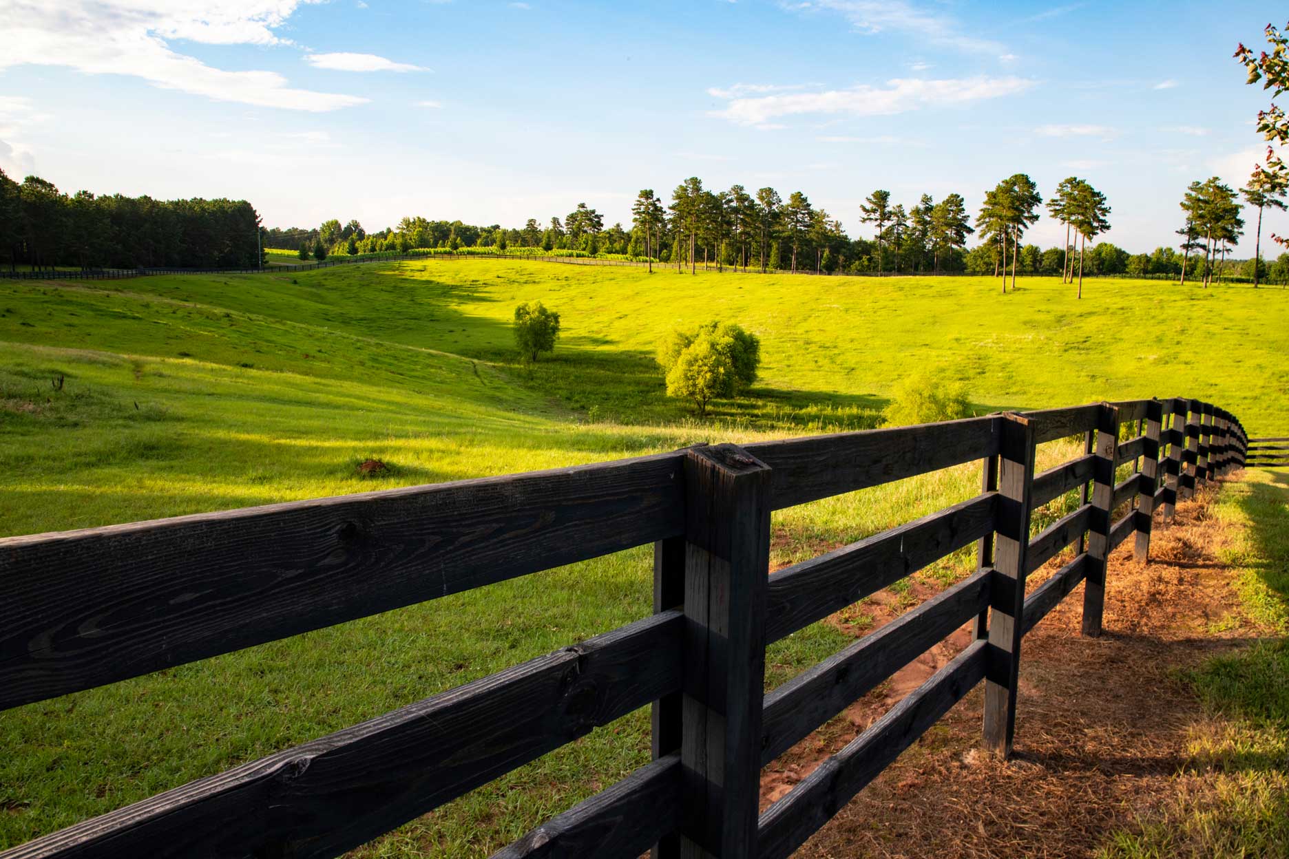 A fence stretching through a field